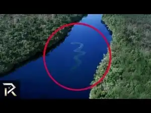 Video: Mysterious Creatures SPOTTED IN THE AMAZON | COMPILATION